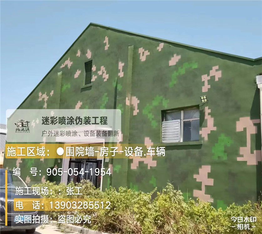 定西外墙数码迷彩漆施工报价清单（100㎡标准墙面测算）